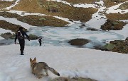 Al Laghetto di Pietra Quadra dalla conca di Mezzeno il 20 aprile 2026 - FOTOGALLERY